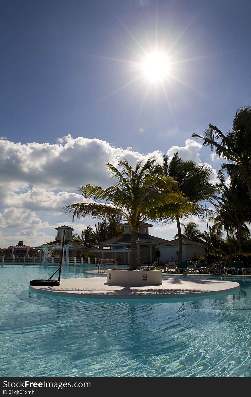 Swimming-pool with palm trees over blue sunny sky. Swimming-pool with palm trees over blue sunny sky