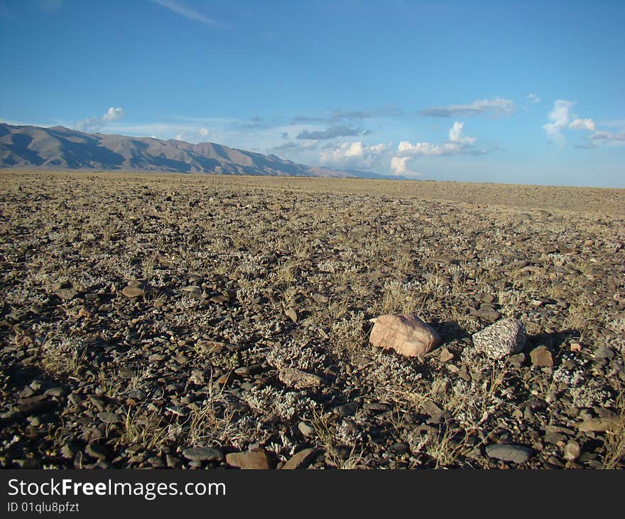 The sky below the Gobi Desert