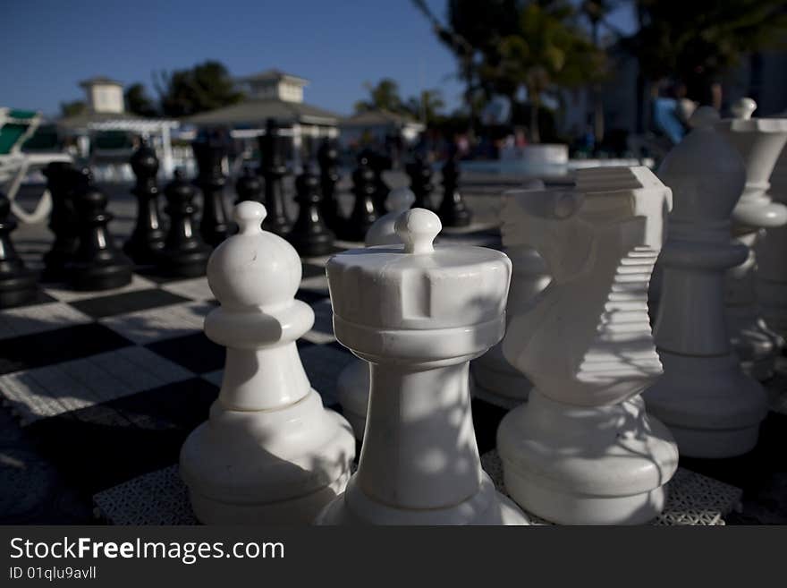 Chess Game In Cuba