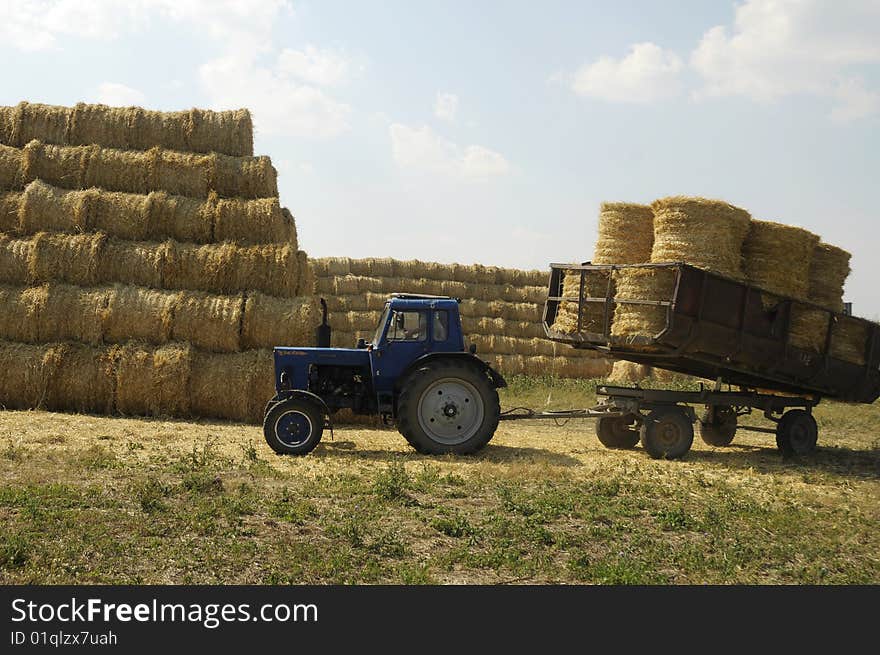 Blue tractor with the trailer, loaded with straw sheaves at big stack of straw in background. Blue tractor with the trailer, loaded with straw sheaves at big stack of straw in background