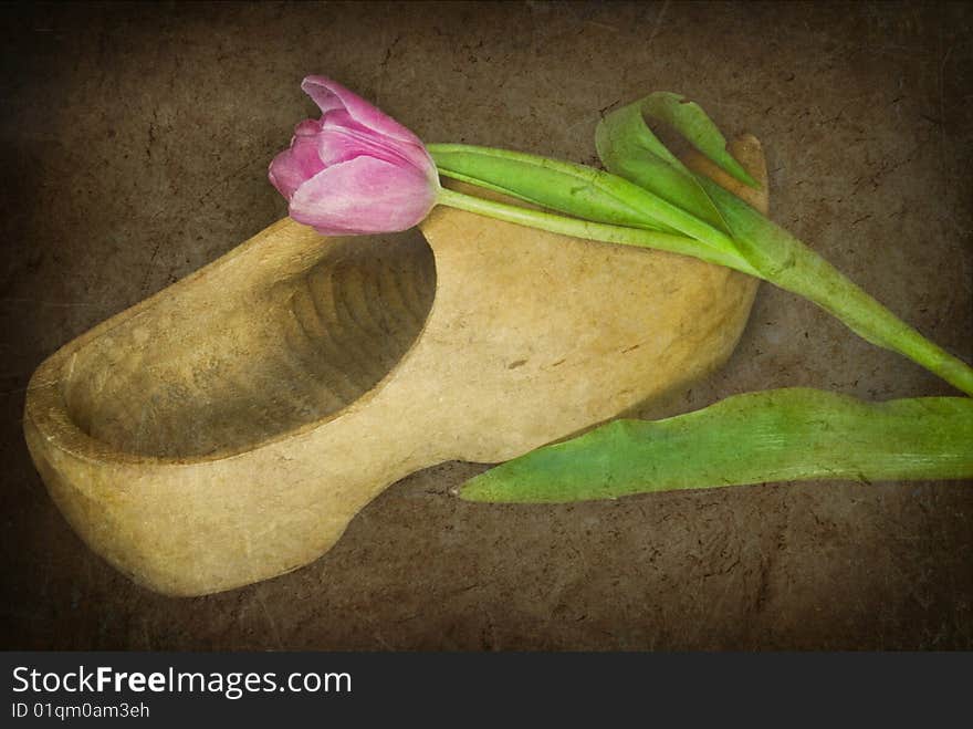 Single tulip on a wooden shoe in texture. Single tulip on a wooden shoe in texture.