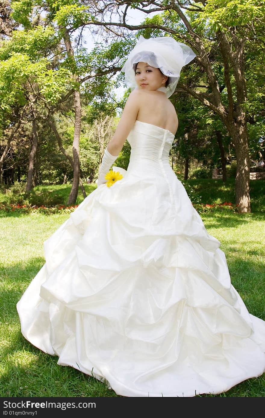 Pretty bride with bridal gown