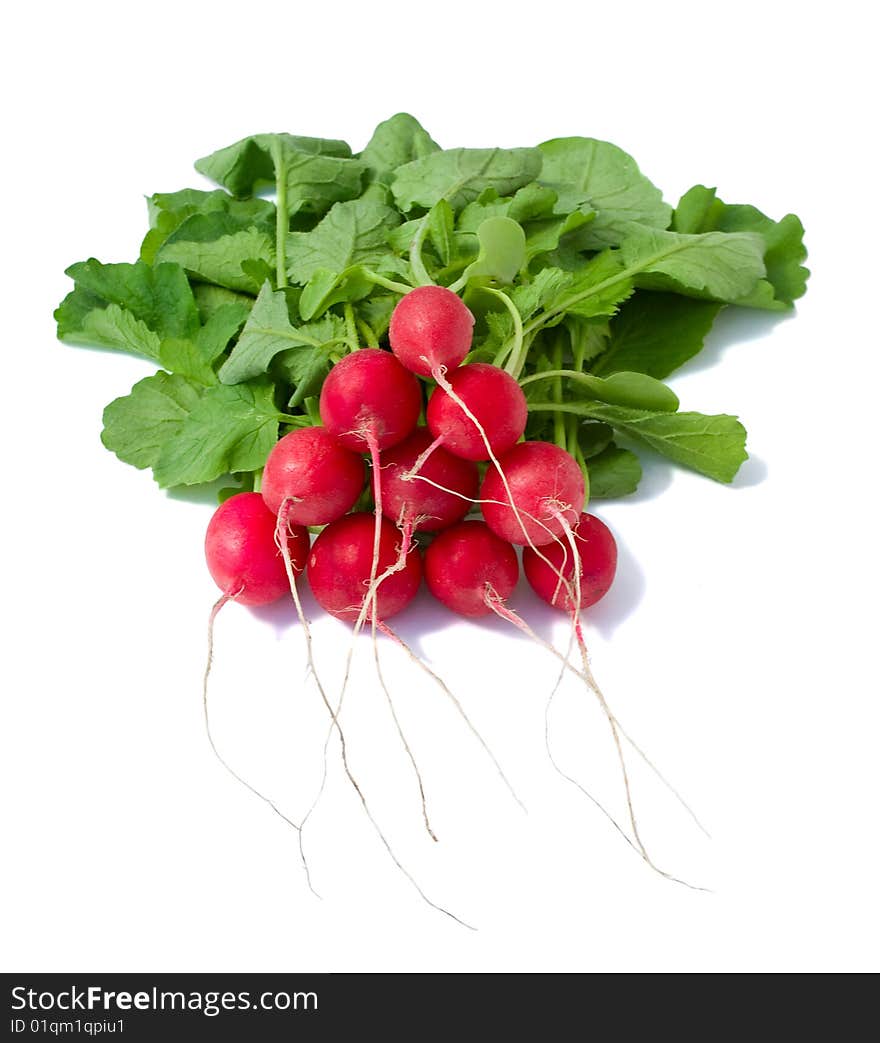 Bunch of radish