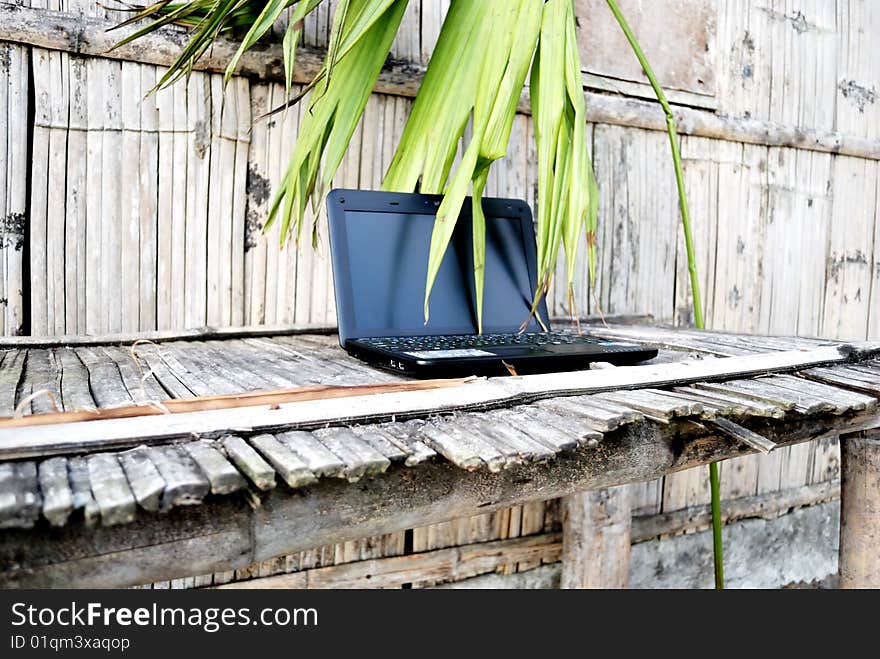 Laptop on a bamboo table in jungle