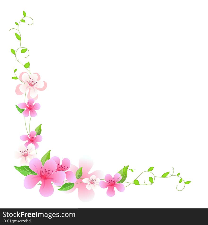 Pink plum with green leaves on the white background. Pink plum with green leaves on the white background