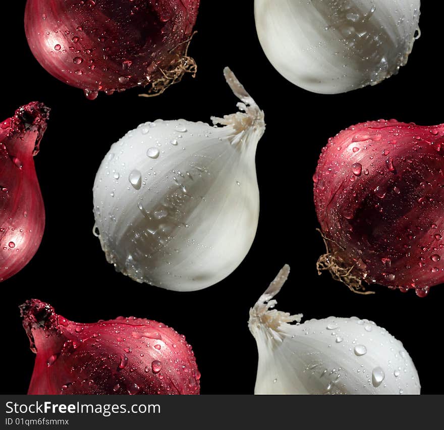 Red and white onions with water drops