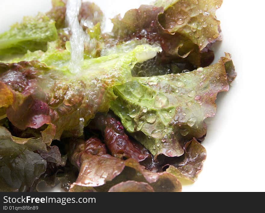 Red and green cabbage