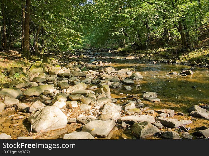 River with calm water and stone