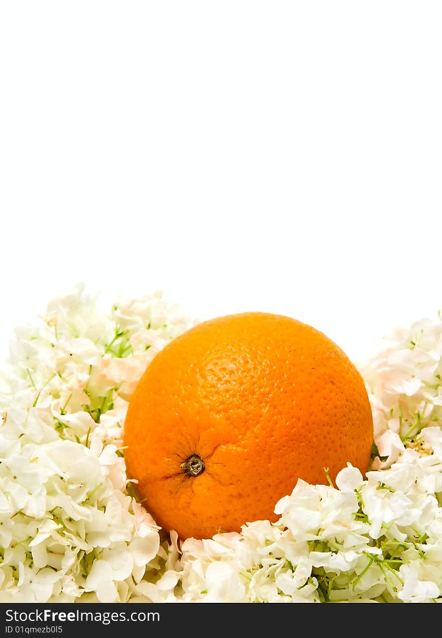 Orange and flowers isolated on white