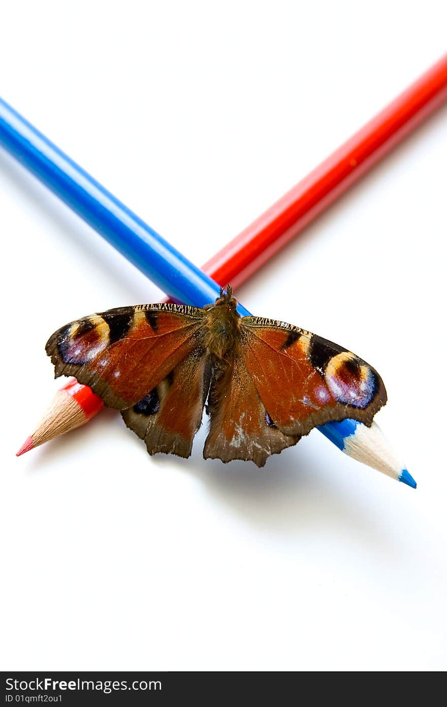 Butterfly And Color Pencils