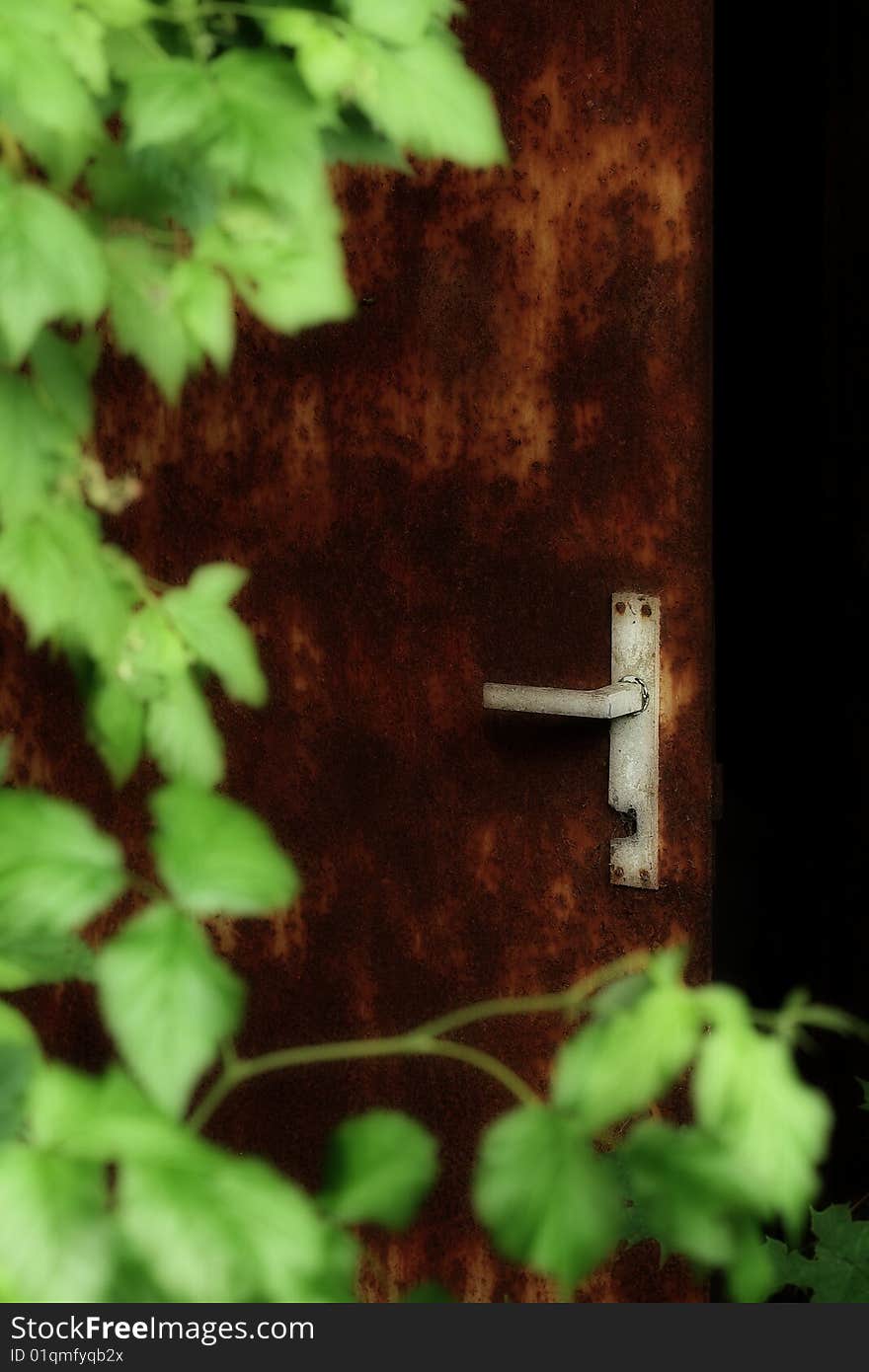 Tawny door and green vegetable