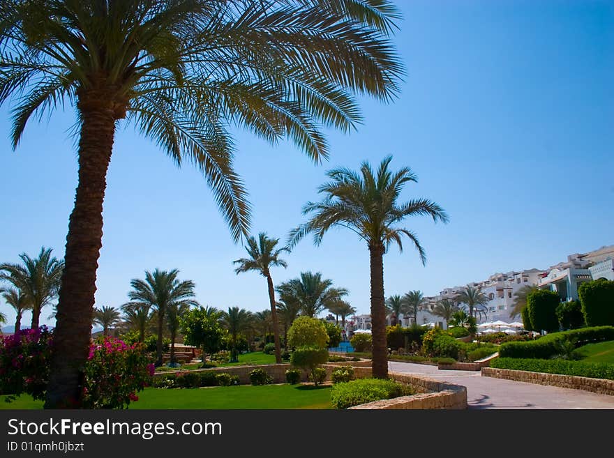 Tropical hotel in Egypt