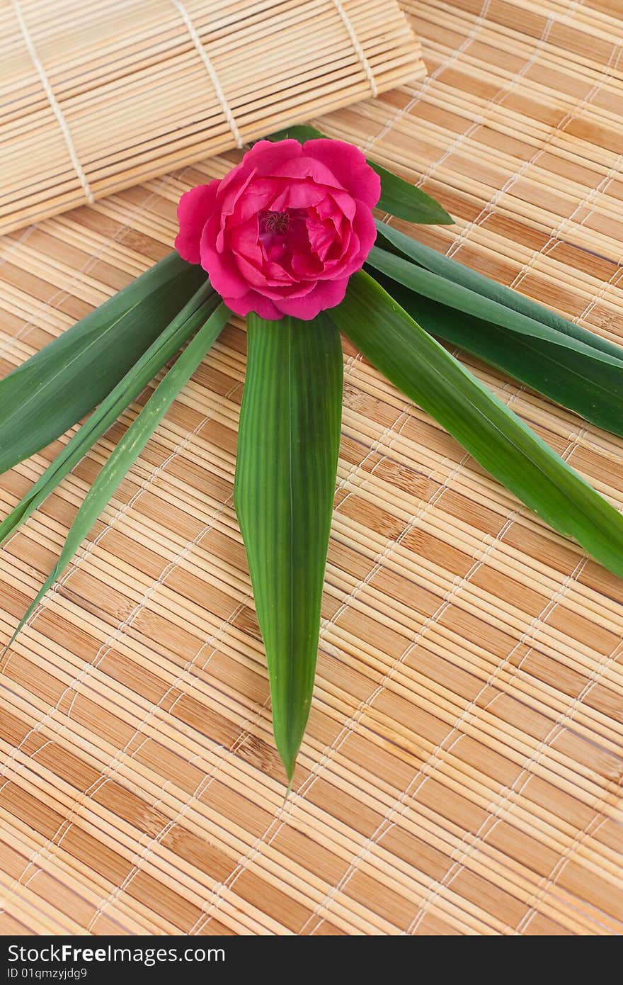 Beautiful vacations (a rose and bamboo leaves set on bamboo mats)