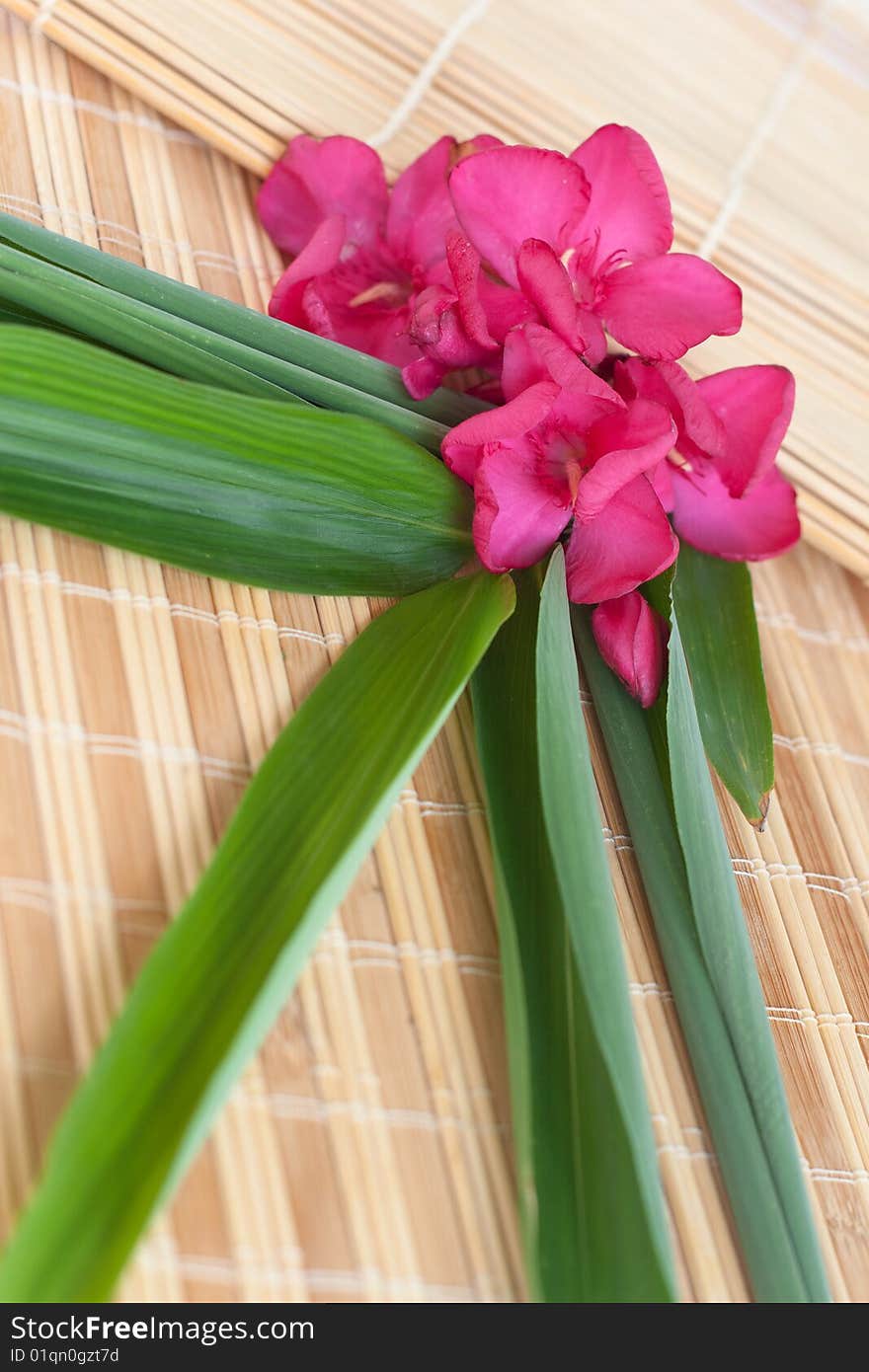 Beautiful vacations (oleander flowers and bamboo leaves set on bamboo mats)