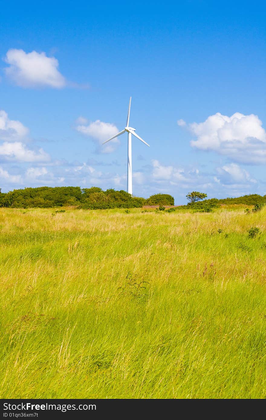 Green lawn and a windturbine