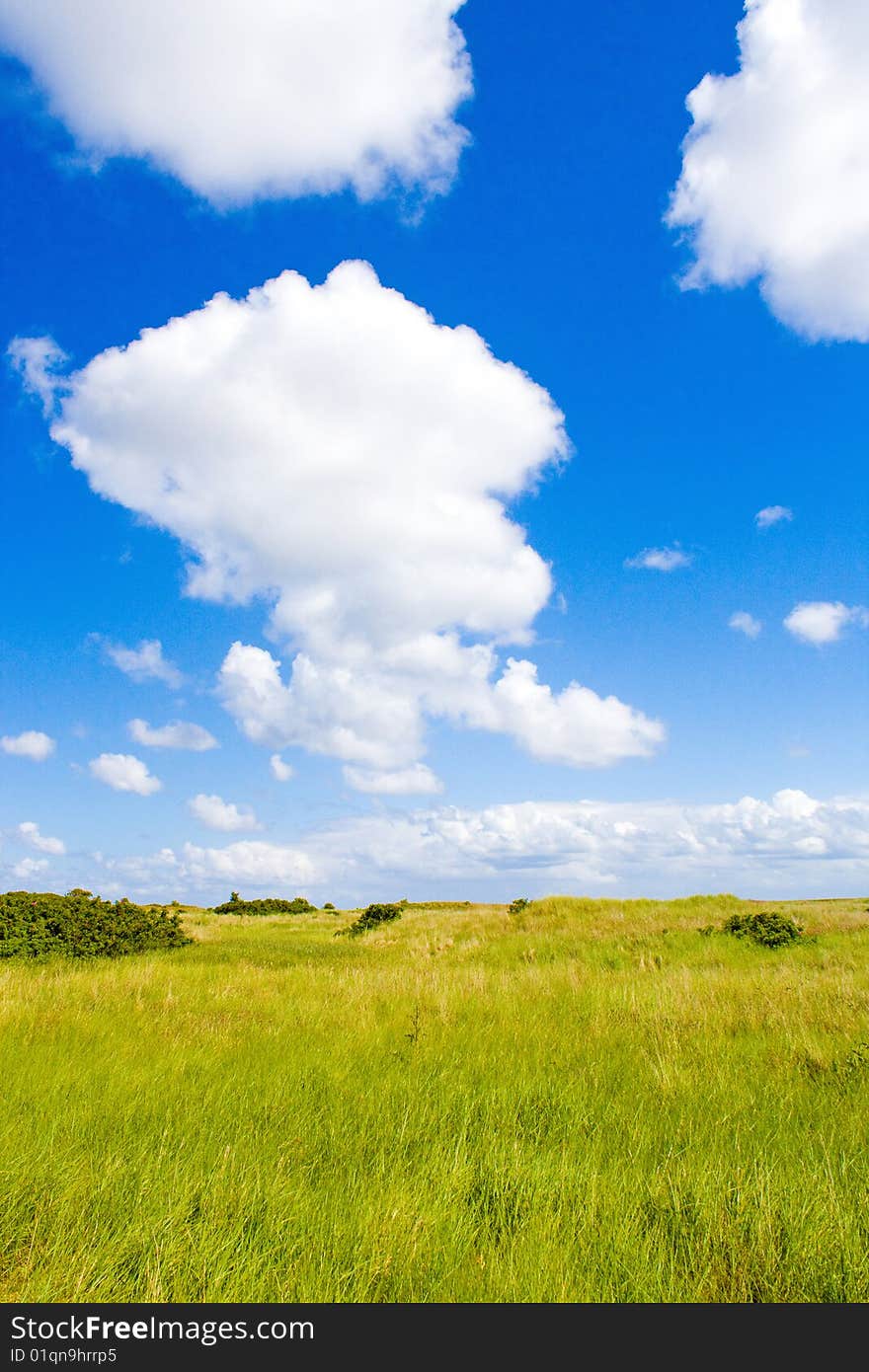 Green lawn with blue sky