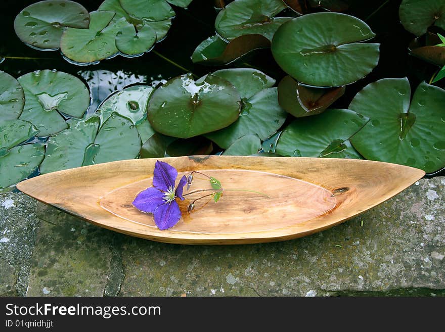 Arrangement with wooden bowl, exotic flower at a lagoon bank. Arrangement with wooden bowl, exotic flower at a lagoon bank