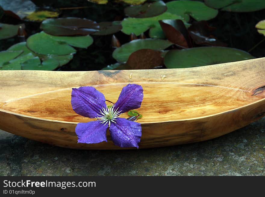 Arrangement with wooden bowl, exotic flower at a lagoon bank. Arrangement with wooden bowl, exotic flower at a lagoon bank