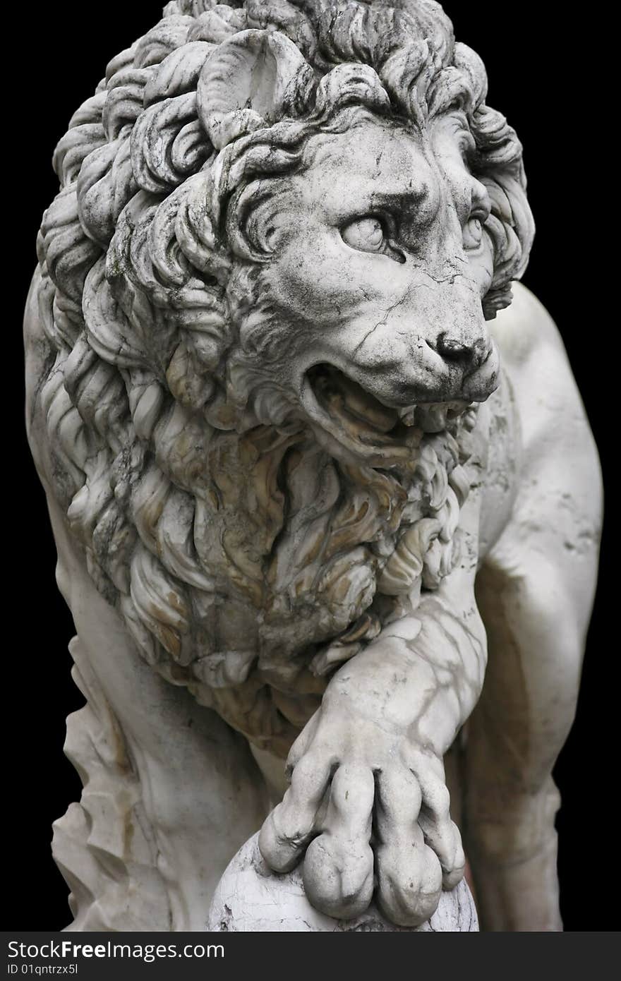 Lion in Florence