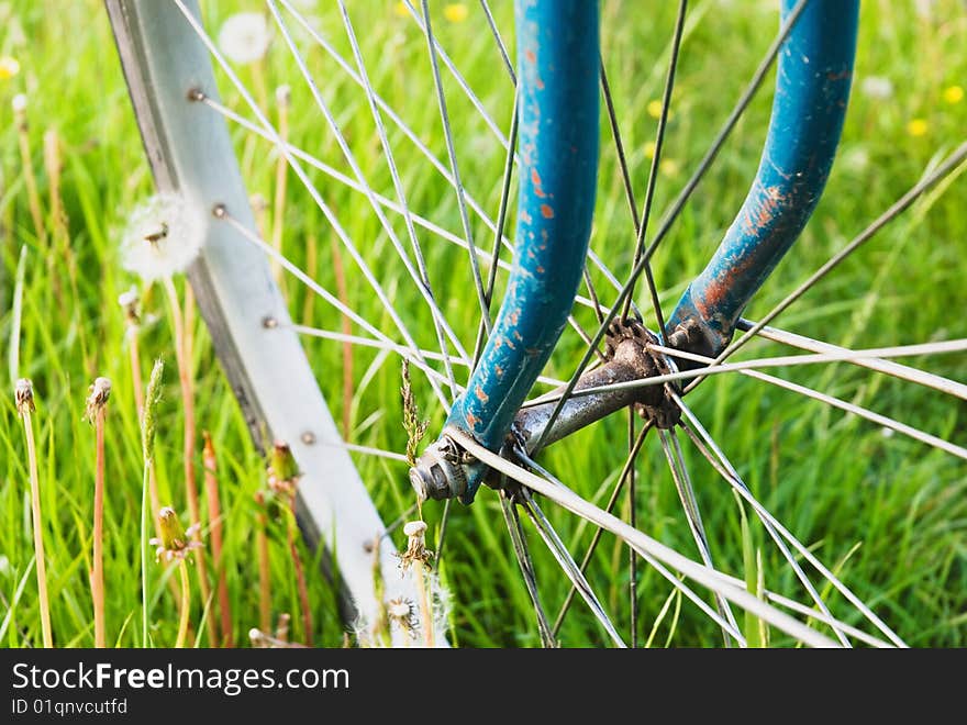 Bike wheel