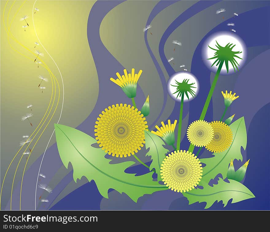 Blue dandelions flower abstract background