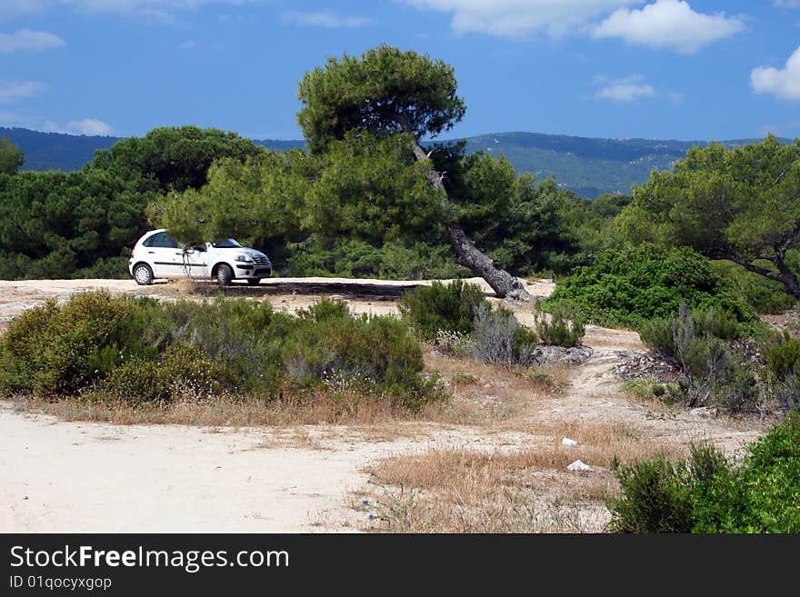 Tropical scene of seashore with parking car