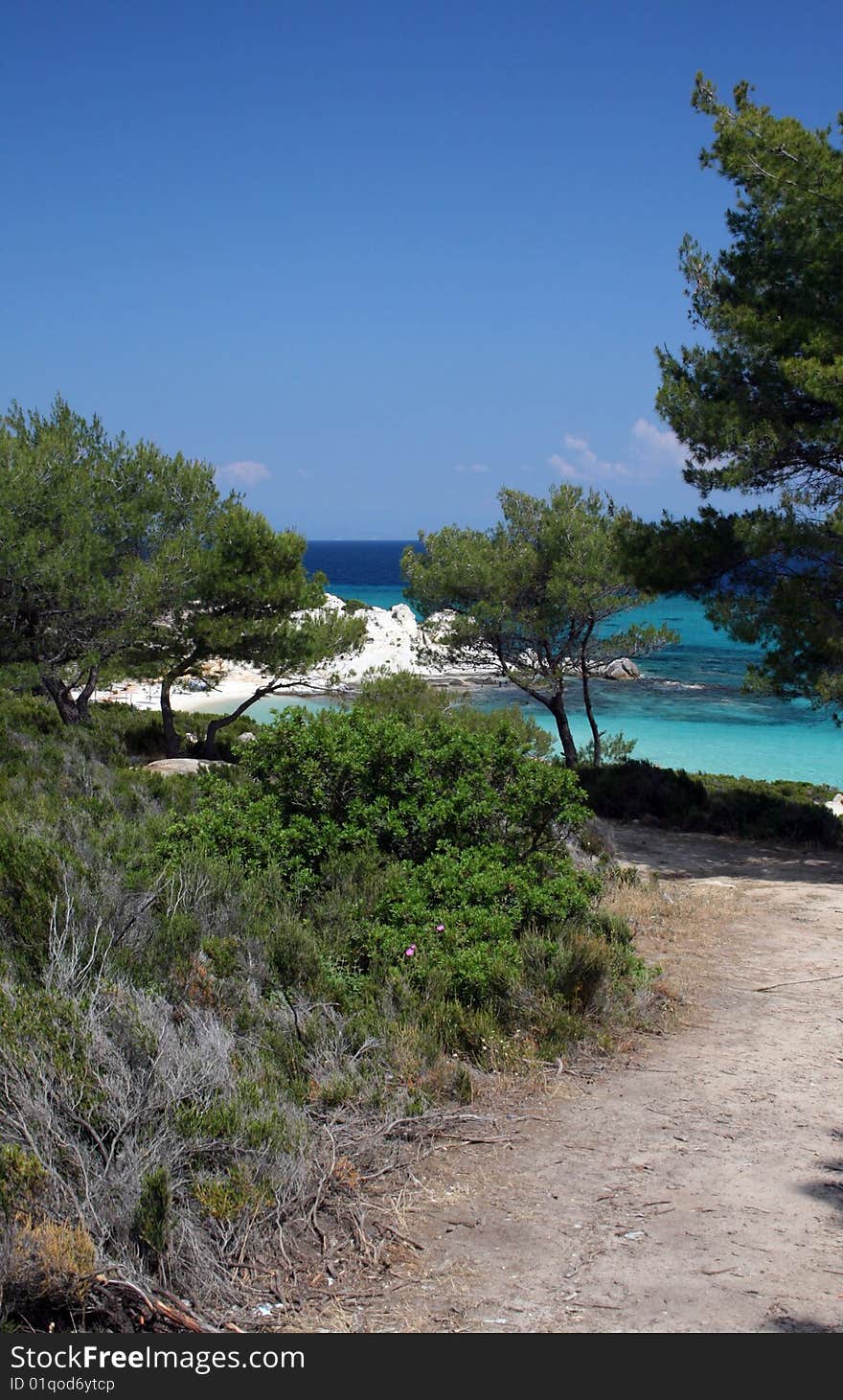 Tropical scene of seashore