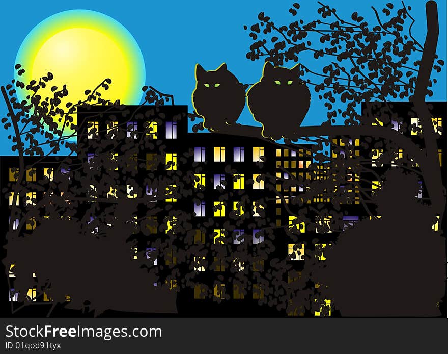 Night Cats