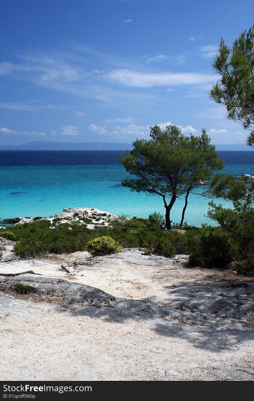 Tropical Scene Of Seashore