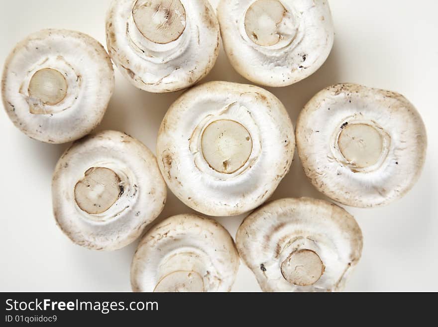 A closeup of few portabello mushrooms isolated on a white background with a natural shadow