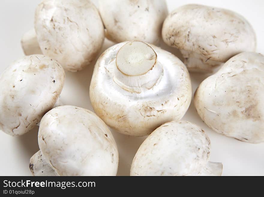 A closeup of few portabello mushrooms isolated on a white background with a natural shadow