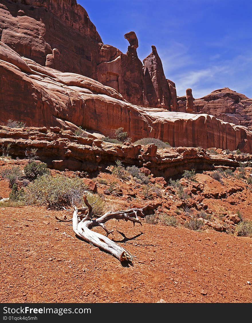 View of Mountains and rock formations with drift wood in the foreground. View of Mountains and rock formations with drift wood in the foreground