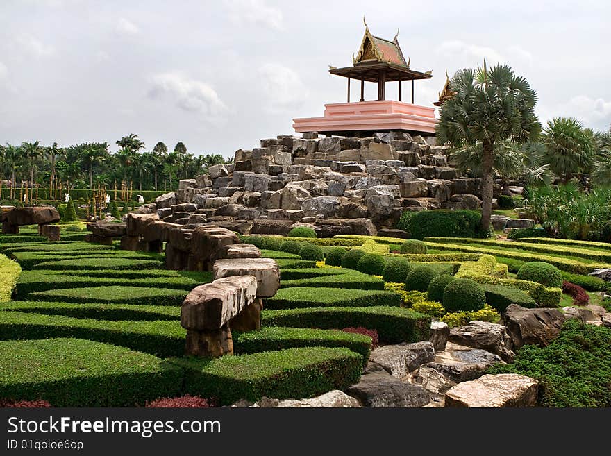 Designer garden with palms and stones. Designer garden with palms and stones