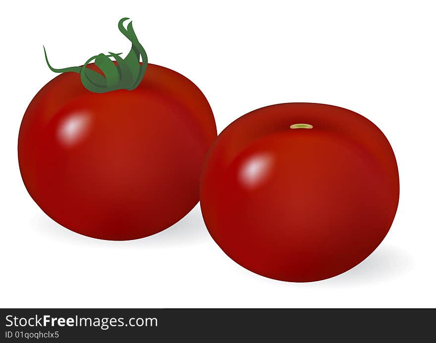 Two tomatoes vegetables. Vector illustration