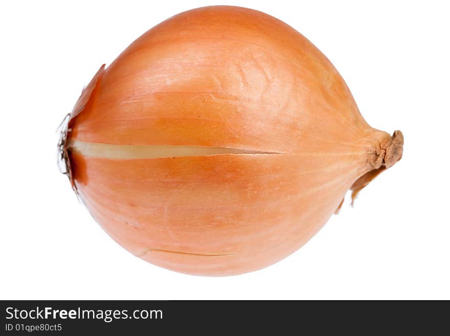 Onion