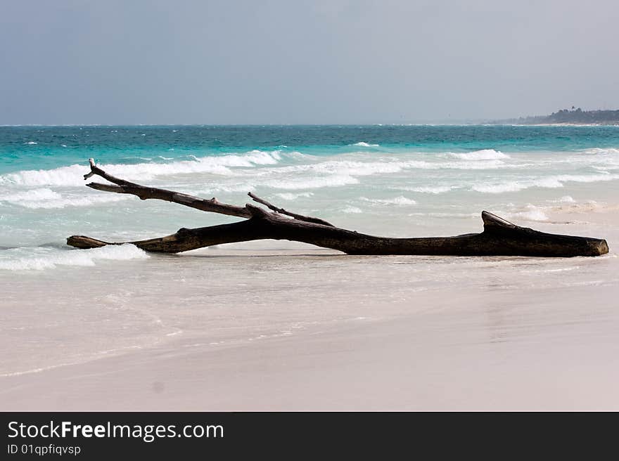 Tulum white beach in mexico, yucatan