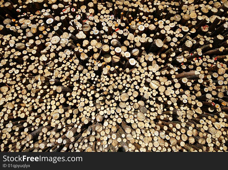 Stack of chopped wood on a wood yard in Upper Silesia, Poland. Pine trees abstract background.