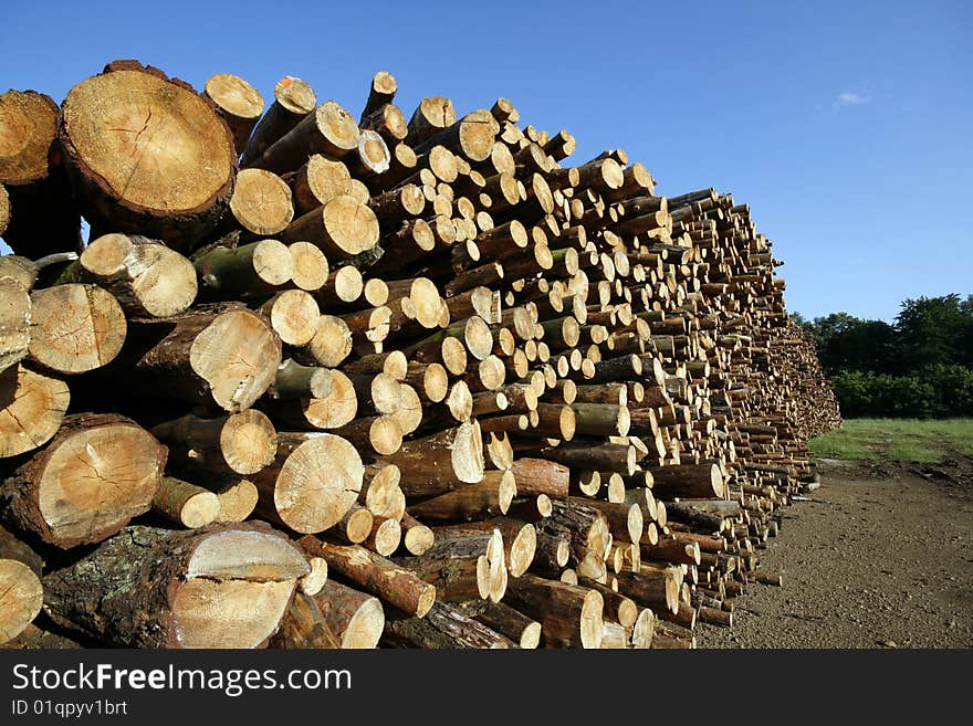 Stack of chopped wood on a wood yard in Upper Silesia, Poland. Pine trees. Stack of chopped wood on a wood yard in Upper Silesia, Poland. Pine trees.