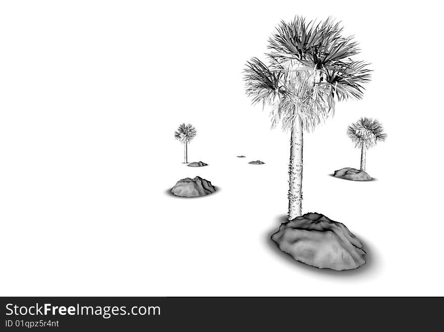 Tropical Tree in black and white on white background isolated