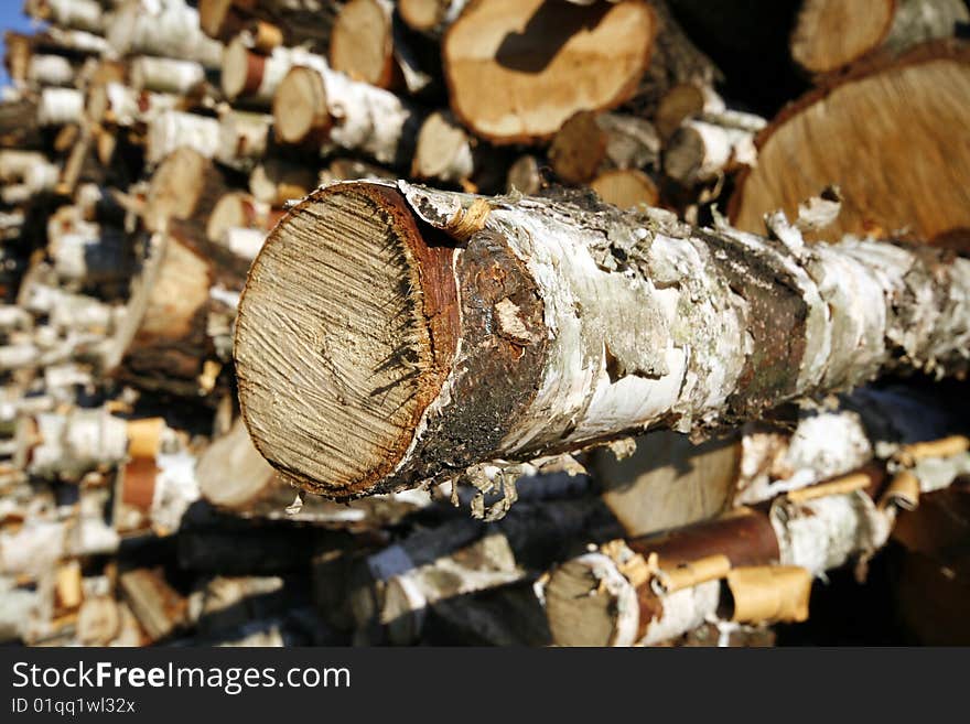 Stack of chopped wood on a wood yard in Upper Silesia, Poland. Birch trees close-up.