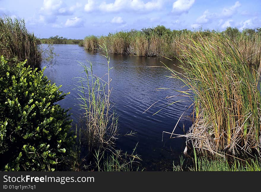 Florida Everglades