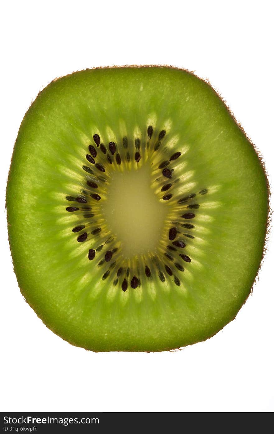 Kiwi slice on white background