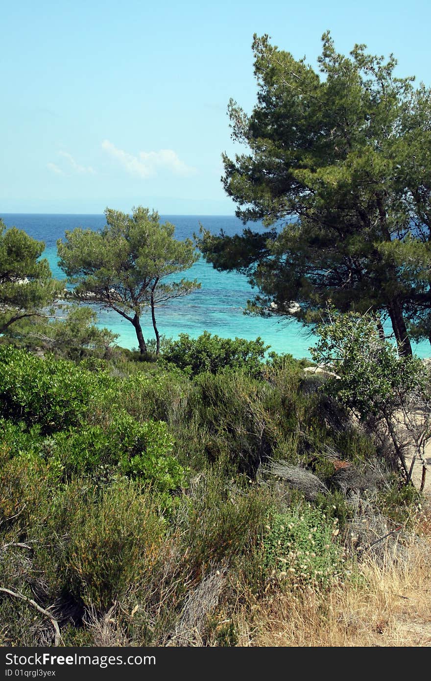 Tropical scene of seashore