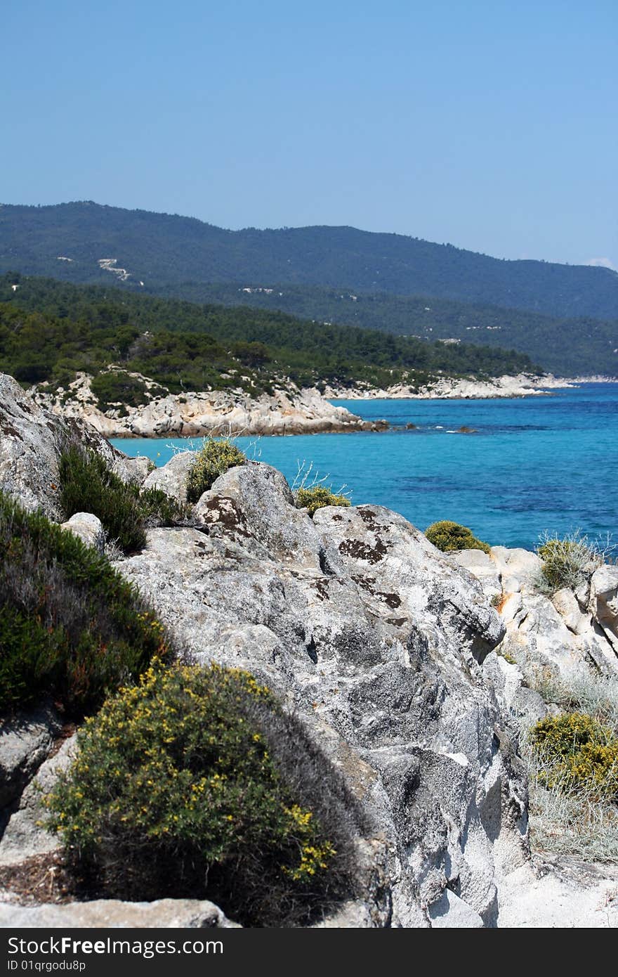 Tropical scene of seashore