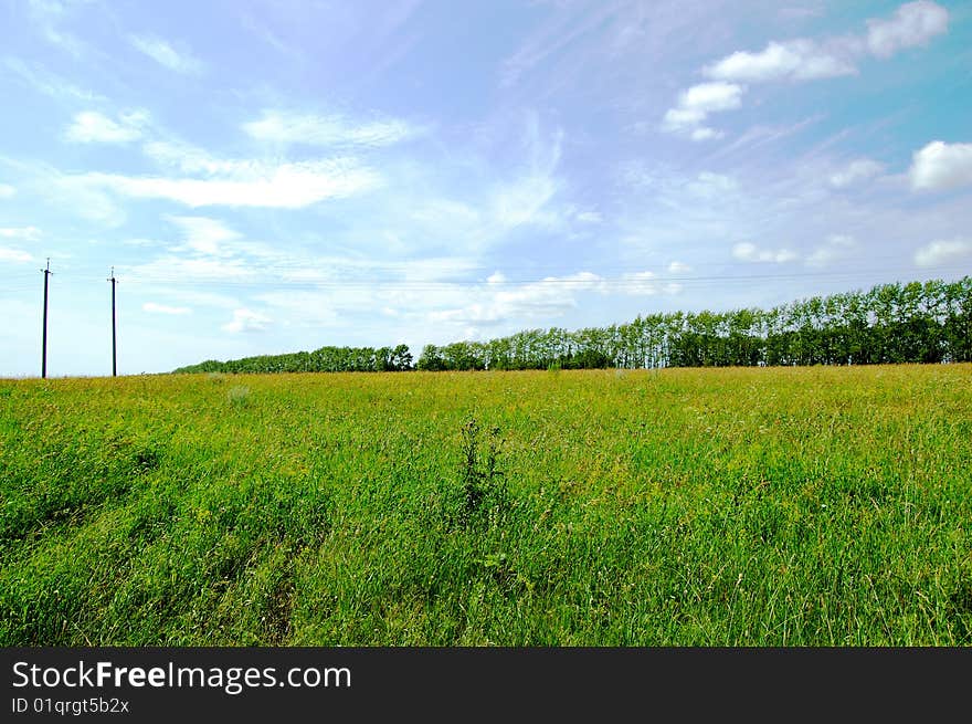 Novosibirsk district, Siberia, the middle of July. Typical scenery. Novosibirsk district, Siberia, the middle of July. Typical scenery.