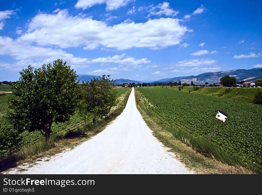 Dirt road in italy