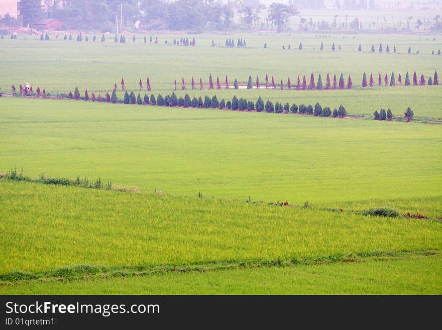 This is a great stretch of open field. This is a great stretch of open field