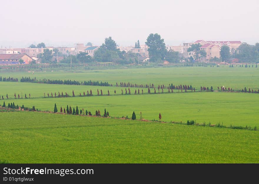 There are many farms near the village. There are many farms near the village