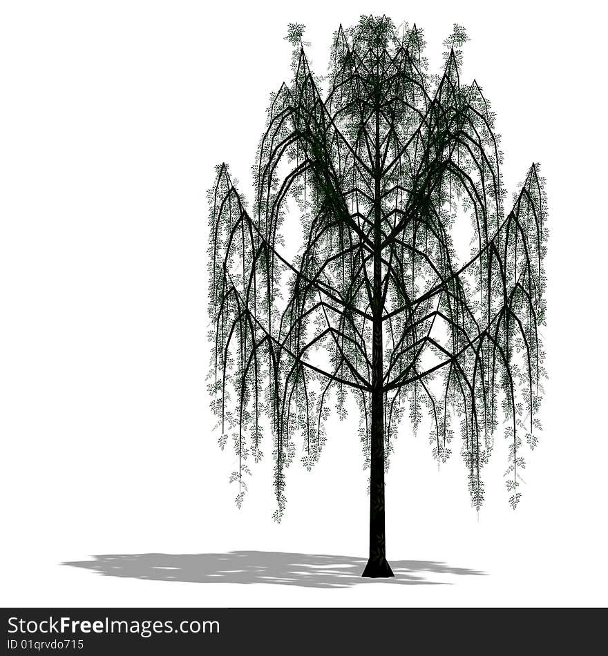 3D Render of a Tree with shadow and clipping path over white