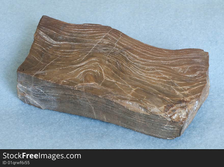 Dark Brown Petrified Wood